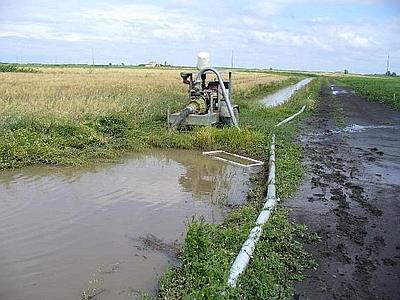 Maltempo, l’agricoltura toscana conta i danni