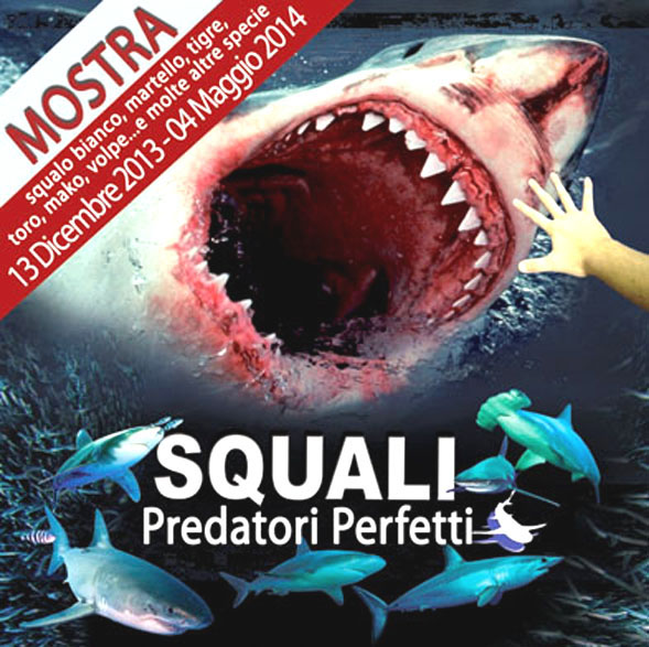 Squali. Predatori perfetti