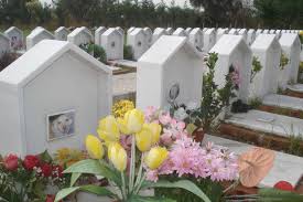 A Livorno un cimitero per animali nel canile municipale