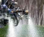 Agrofarma, su dichiarazioni ministro Martina su controlli filiera agroalimentare