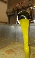 Per olio di oliva attivo record della bilancia commerciale. 151 milioni di euro nel 2013