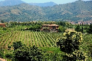 Agriturist-Confagricoltura, fare sistema per migliorare l’accoglienza