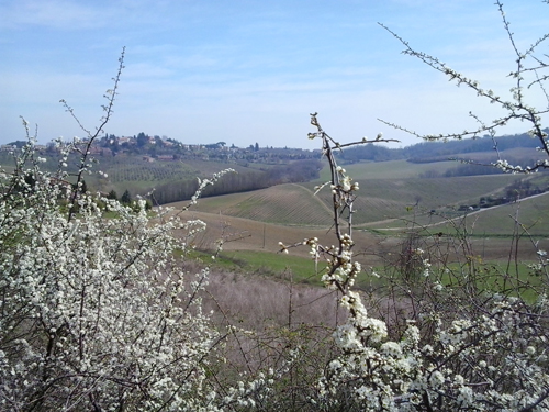 Aspettando la primavera