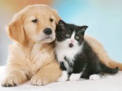 Cani e gatti, rimborsi per cure veterinarie e analisi. Domande entro il 15 marzo