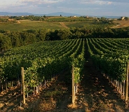 La Toscana si fa snella. Tempi rapidi con il protocollo semplificazione