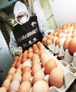 Sicurezza alimentare, per Agrinsieme ‘No ad ulteriori costi per imprese e cooperative agricole’