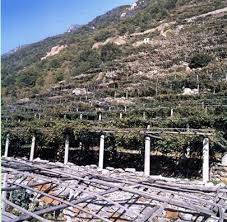Weekend pasquale a Courmayer con i Vignerons