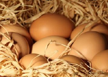 Pasqua: bene NAS, vademecum antifrodi da agnello a uova