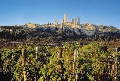 Il viaggio della filiera corta senese va alla scoperta della Vernaccia