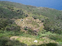 Viticoltura nelle isole toscane e Monte Argentario, aperto il bando per diritti reimpianto riserva
