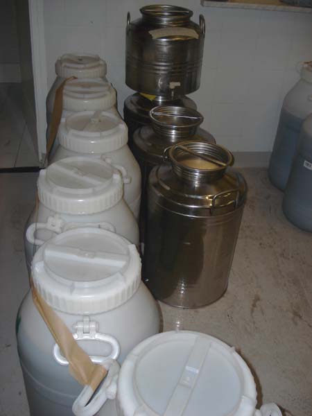 Dop Olio Riviere Ligure in salute
