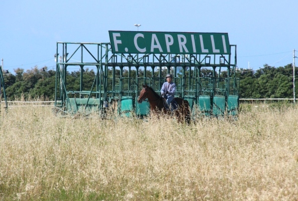 Ippica, il Ministero tratta ma soldi e futuro sono incerti. E a Livorno chiude il Caprilli