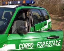 Boccone amaro. Spargeva esche avvelenate, denunciato guardiacaccia a Montalcino