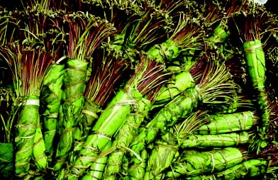 Atterra a Firenze con 16 chili di droga nel bagaglio, denunciato