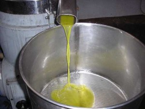 Olio falso. Era pugliese o greco ma veniva spacciato come toscano. 47 indagati e 200 quintali sequestrati