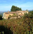 Gli agriturismi senesi festeggiano il Terranostra Day l’11 maggio