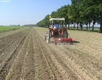 Crisi: al sud resiste solo l’agricoltura per PIL e lavoro