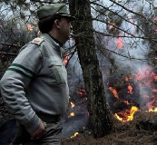 Cfs, incendi boschivi: fenomeno stabile nella media degli ultimi anni