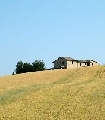 Rivalutazione terreni agricoli. In scadenza l’ultima riapertura dei termini