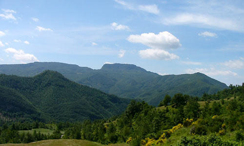 Al top. Il Parco delle foreste casentinesi nel gotha del turismo sostenibile con la Carta Europea