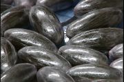 Ingerisce 69 ovuli di hashish ma non sfugge ai controlli, arrestato