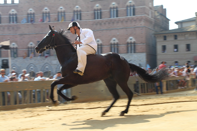 Palio di Siena verso la Tratta. Cavalli in primo piano tra esclusi eccellenti, polemiche e una proposta