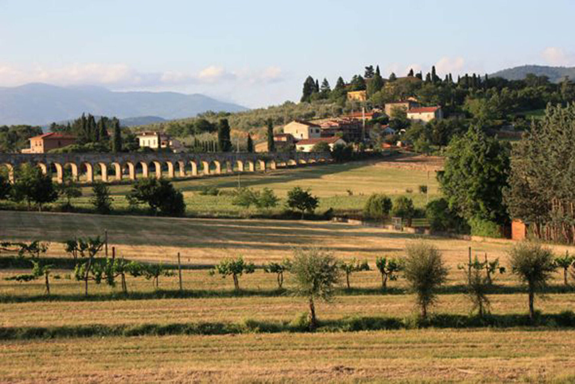 Lo scempio della collina di San Fabiano, ad Arezzo è scontro