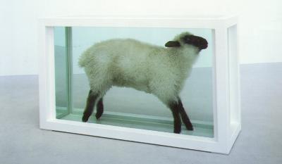 Animalisti contro Hirst, petizione on line per impedire la mostra ad Arezzo