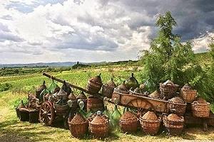 Boom del biologico in Toscana grazie ai biodistretti