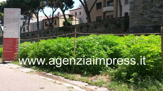 La crisi, il degrado urbano, la canapa di Icastica. Ad Arezzo Pdl contro amministrazione Fanfani