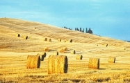 La Toscana adotta nuovo Piano Paesaggistico. La Cia avverte: ‘Territorio non sia cartolina’