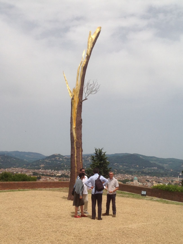 Alberi in mostra tra arte e natura, a Firenze ‘Prospettiva vegetale’ di Giuseppe Penone