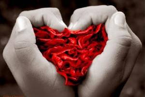 «Manca sangue, donatelo prima delle ferie»». L’appello di Avis Toscana