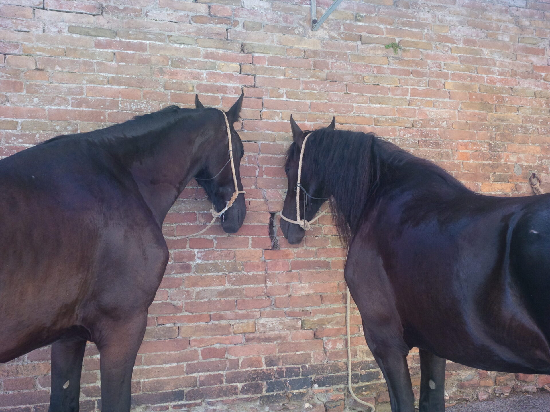 Questione di sguardi