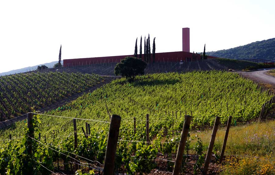 Musica a Gavorrano, Melodia del Vino nella cantina disegnata da Piano