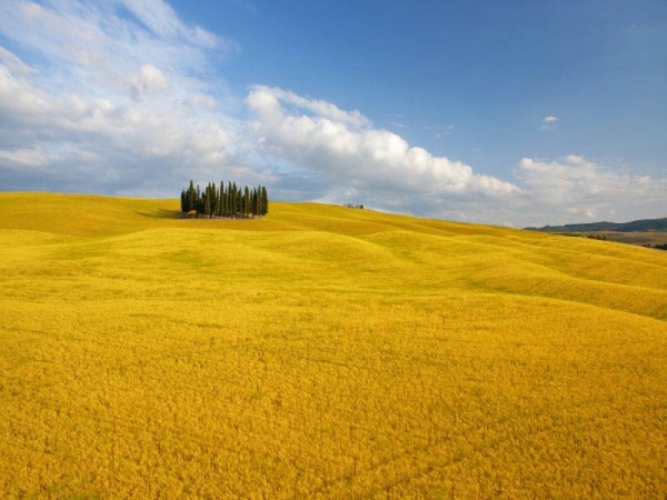 A lezione di acquerello a Bagno Vignoni, il 23 e 24 agosto i paesaggi della Val d’Orcia su tela