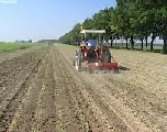 Istat, agricoltura conferma trend crescita occupazione nel secondo trimestre 2014