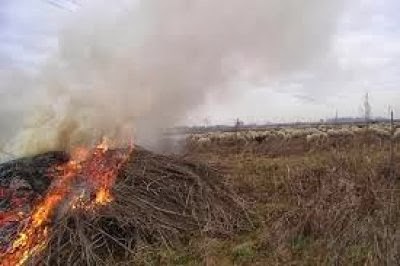 Fuochi in campagna, in vigore le nuove disposizioni