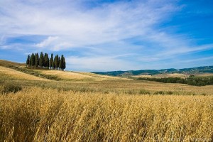 Tutela del paesaggio, è l’ora di una seria alleanza tra Comuni e Soprintendenze
