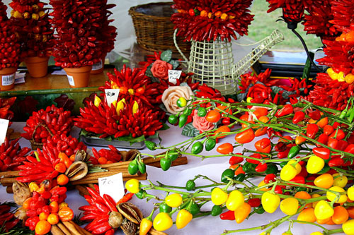 A Viareggio scatta il “Peperoncino Day”. Weekend piccante tra eros, gusto e nuove varietà