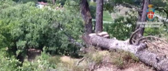 Fugge dalla clinica e rimane sospeso su un albero. Carabinieri e Vigili del Fuoco lo salvano