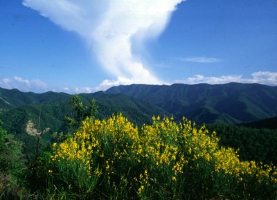 Il Parco nazionale delle Foreste Casentinesi aderisce alla Carta Europea del Turismo Sostenibile
