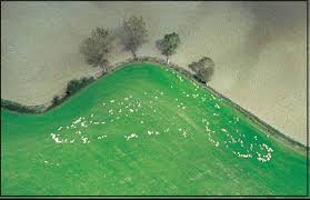 Foto aeree per raccontare il territorio, “Il cielo sopra le terre di Siena” in mostra a …