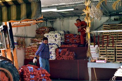 La Fiera della Cipolla di Mezzolara (Bo) scalda i motori