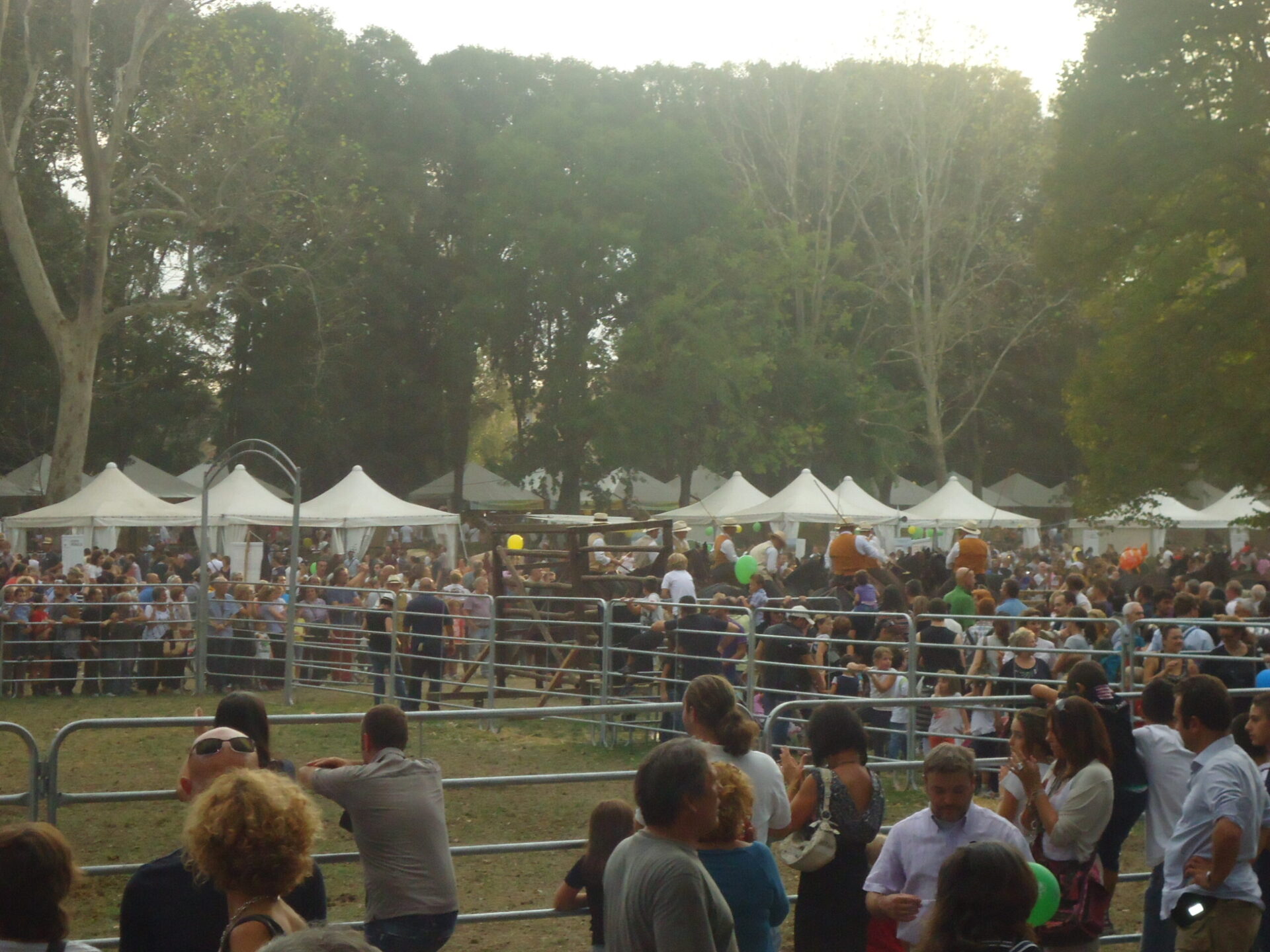 La campagna approda in centro a Firenze con Expo Rurale