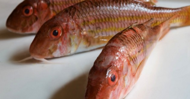 Da «pesce lesso» a «fritto e rifritto», quando la cucina è un modo di dire