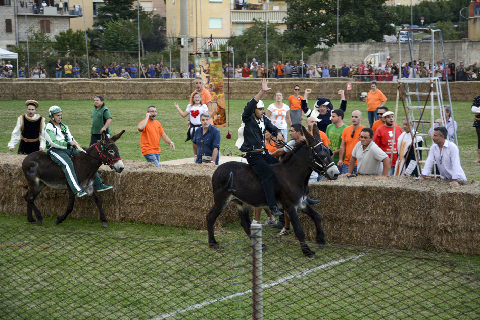 Palio dei Ciuchi di Asciano, La Stazione vince l’edizione 2014