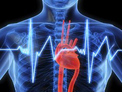 Cardiologia, dalla ricerca le più recenti indicazioni per proteggere o riparare il cuore
