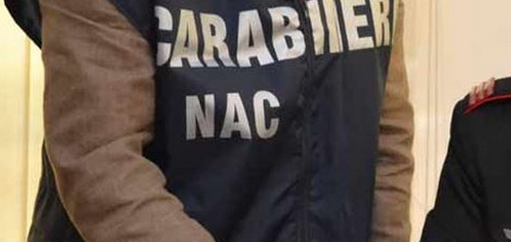 Venduto per bio, ma era olio ‘lampante’. I Nac sequestrano oltre 250 litri di falso prodotto