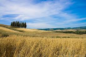 Paesaggio toscano, la Regione chiederà il riconoscimento Unesco